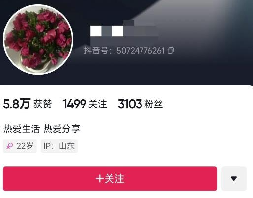 图片[2]-揭秘抖音小程序一作品赚6万+的秘密