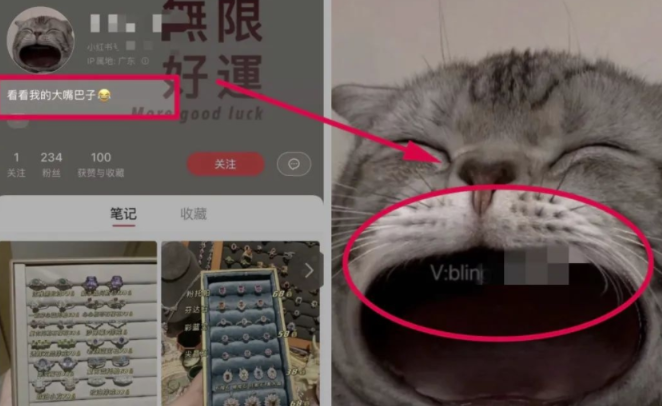 图片[1]-头像植入-小红书联系方式引流新玩法