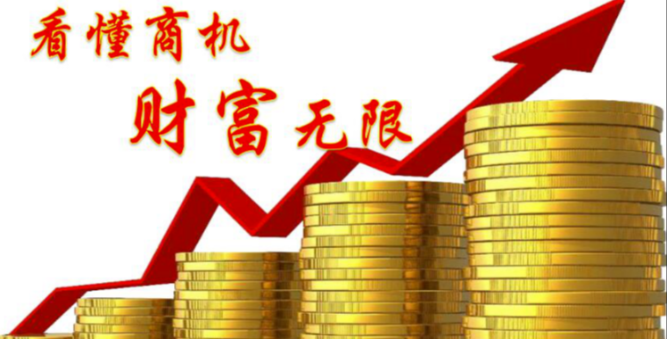 图片[1]-财富真相：高利润背后的逻辑与机遇