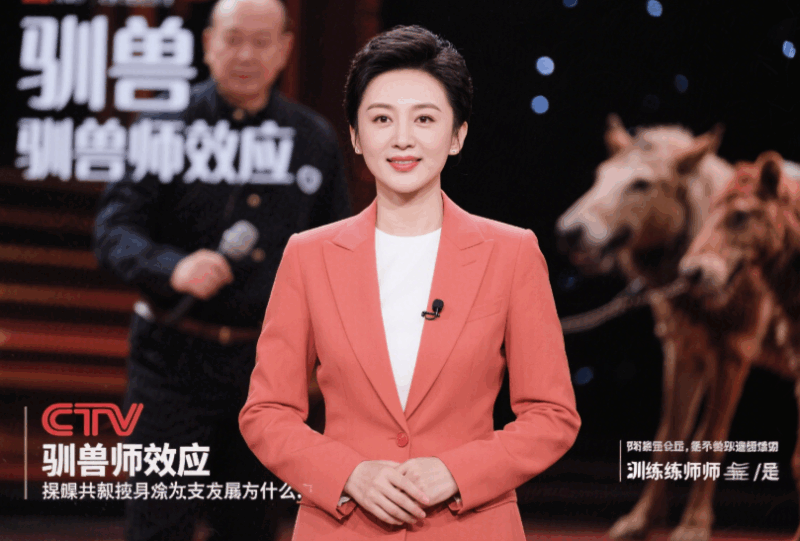 央视主持人自曝后悔离职_我突然明白了什么是“驯兽师效应”-爱分享导航