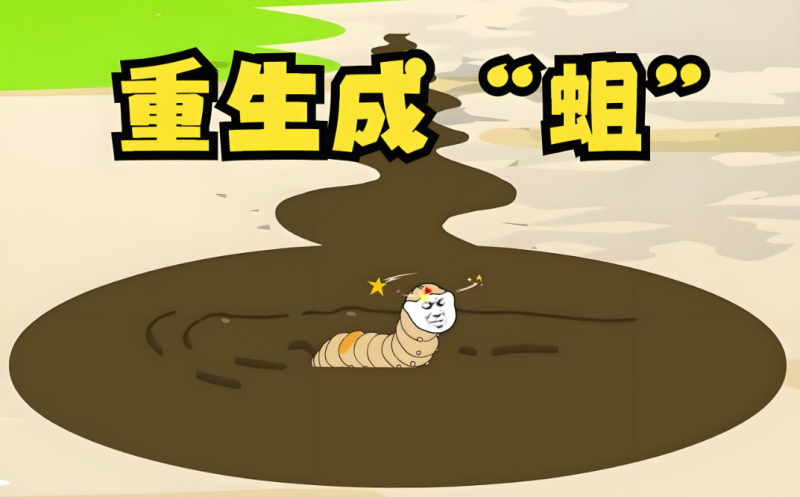 我不怕死后变成蛆-爱分享导航