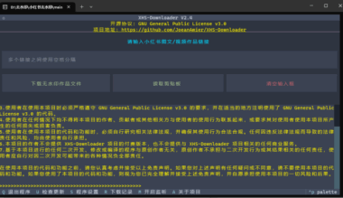 如何轻松去除小红书水印？一款超强去水印工具推荐
