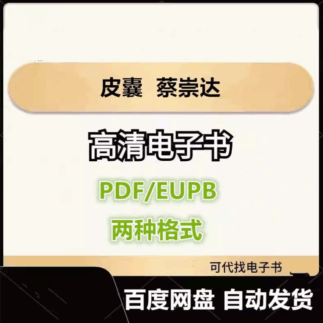 皮囊 蔡崇达电子书eupb pdf格式电子版-爱分享导航