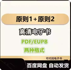 原则1+原则2 应对变化中的世界秩序 电子书eupb pdf格式电子版-爱分享导航