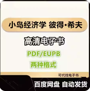 小岛经济学 彼得·希夫 电子书eupb pdf格式电子版-爱分享导航