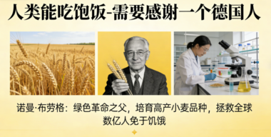 人类能吃饱饭-需要感谢一个德国人-爱分享导航
